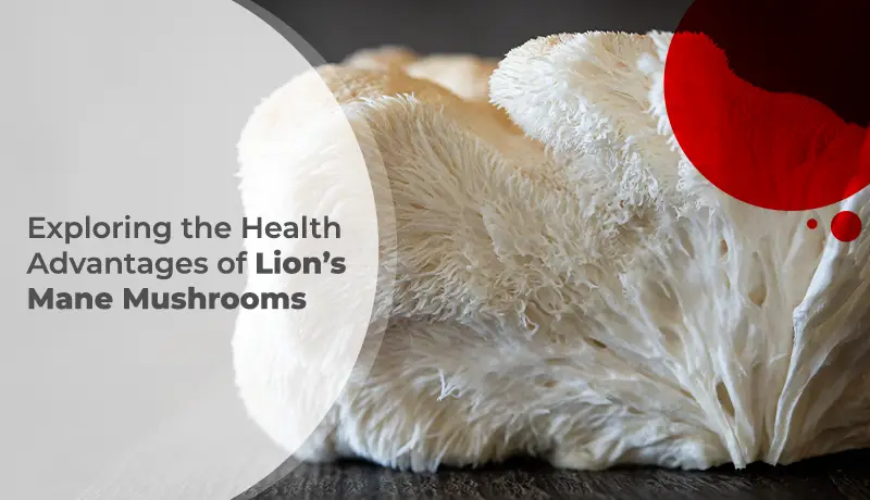Health Advantages of Lion’s Mane Mushrooms