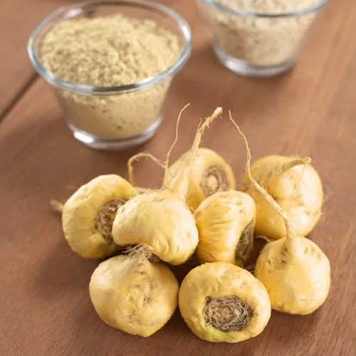Discovering the Health Benefits of Maca Root